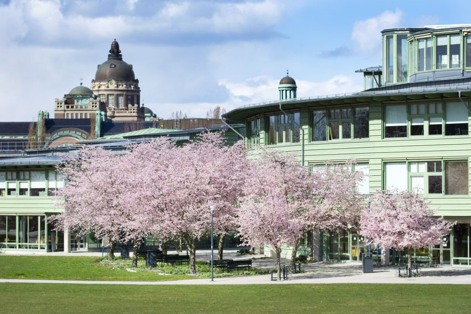 Stockholm University: Universitas Terkemuka di Swedia